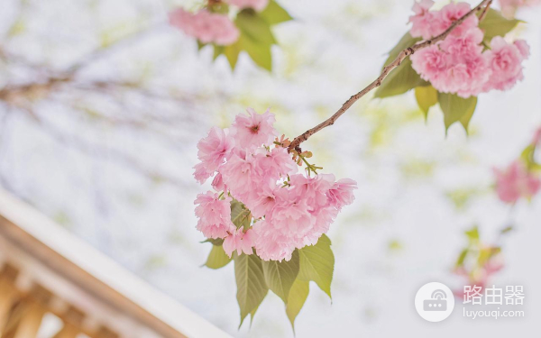 把遮挡的图片还原方式是什么