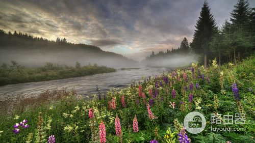 免费视频恢复软件有哪些