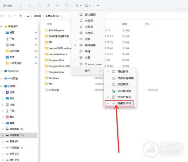如何查看Win11的隐秘项目