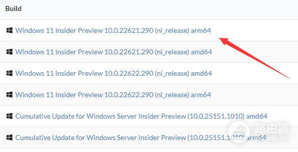 如何解决ARM架构的Win11下载问题