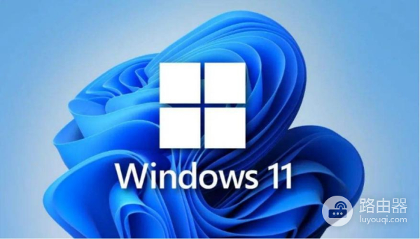 win11打不开安卓文件是什么原因