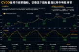 CVDD 是什么？读懂这个指标，看清比特币每轮底部