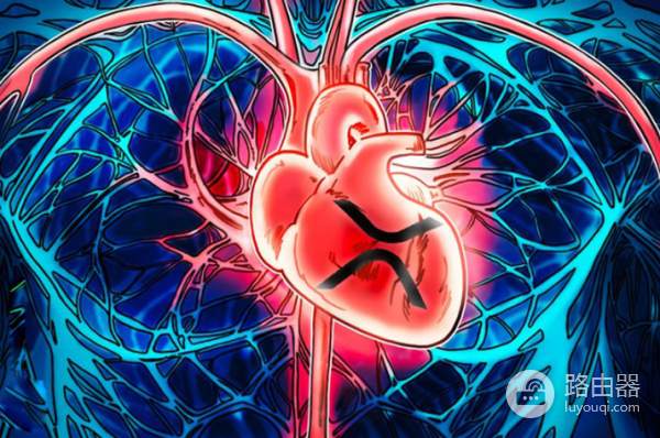 XRP在跨境支付中的优势与市场潜力，XRP的价值支柱