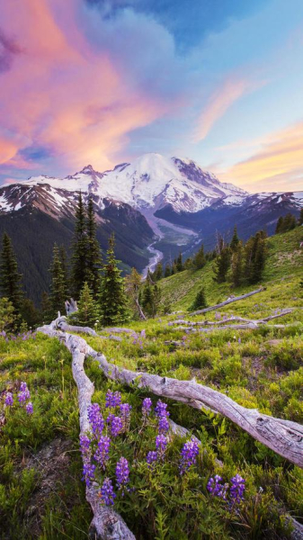 手机图片删了恢复回来方式一览