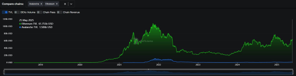 AVAX是什么币?Avalanche的技术与潜力