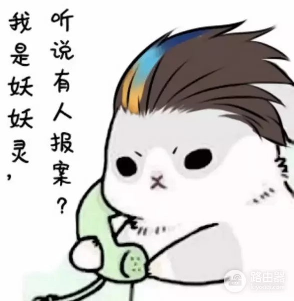 路由器不连线组网(大叔家路由器无法上网,买只猫咪用来连线,大叔:猫不管用啊!)