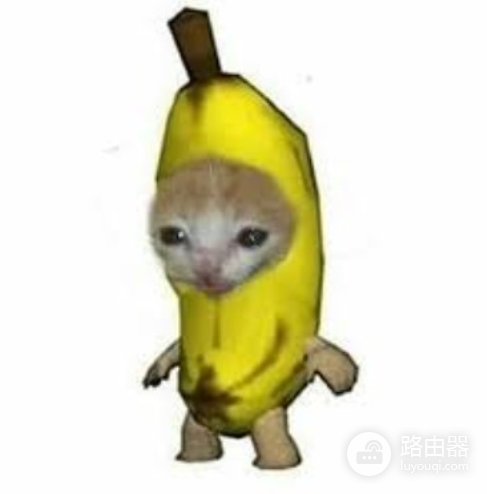 香蕉猫Meme币是什么?BCT代币购买流程