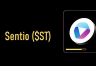 Sentio（ST）有哪些核心优势？web3索引赛道出现新变化