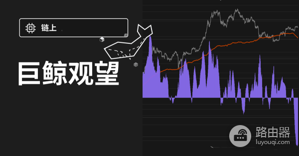 谁在持有最多比特币，全球最大持仓实体解析