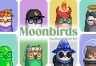 Moonbirds（BIRB）币是什么？Moonbirds猫头鹰NFT和BIRB代币