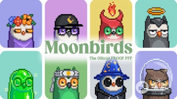Moonbirds（BIRB）币是什么？Moonbirds猫头鹰NFT和BIRB代币