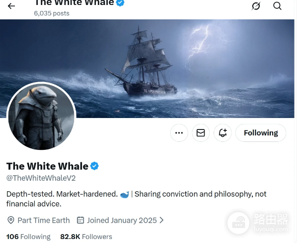 White Whale是什么币? 为何会在短期内暴涨500倍?