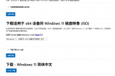 Windows 11下载镜像版本困惑：如何获取“专业多语言版”？