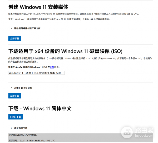 Windows 11下载镜像版本困惑：如何获取“专业多语言版”？