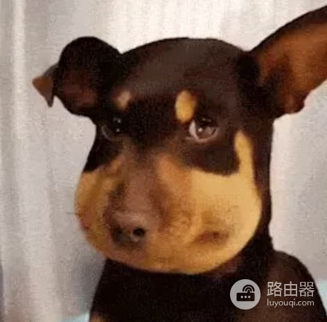 七大中文Meme币是哪些?谁最有机会登陆币安?