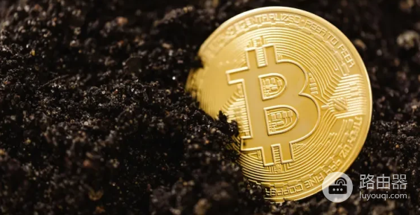 虚拟币哈希值如何查询? 比特币、USDT哈希值查询方法