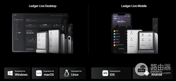 Ledger Nano S Plus适合哪些加密用户,如何进行资产管理?