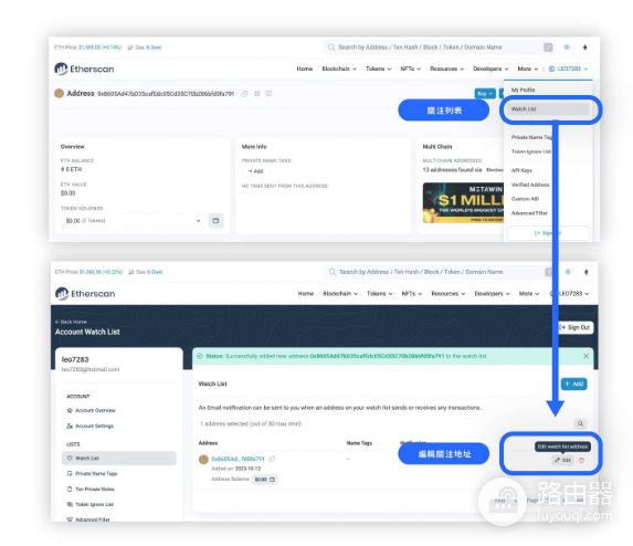 Etherscan是什么? 如何利用Etherscan追踪区块链交易和大户?