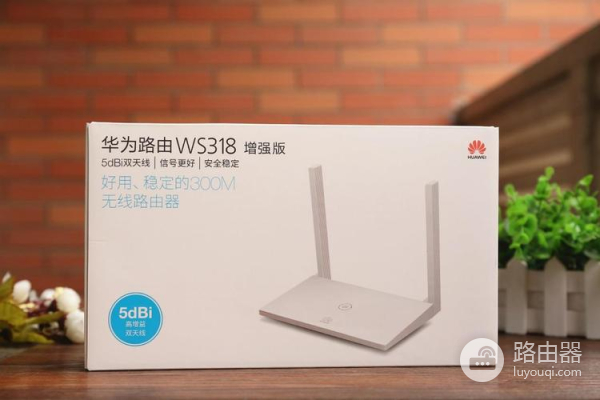 路由器flash和ram的区别是什么（路由器flash和ram的区别介绍）