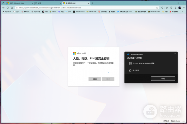 微软账户登录无法输入密码PIN怎么办？强制使用通行密钥解决方法
