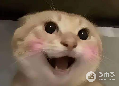 七大中文Meme币是哪些?谁最有机会登陆币安?