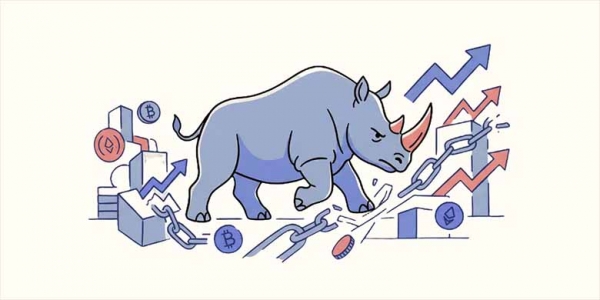 灰犀牛事件到底是什么？币圈常见的大风险