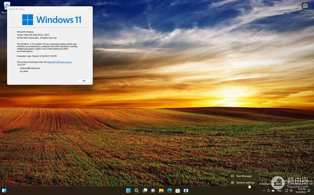 Windows 11 Build 25211发布：拆分Widget选择器和设置