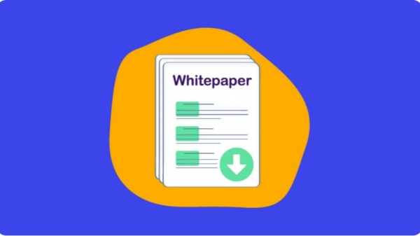 币圈新手如何用白皮书判断项目价值？