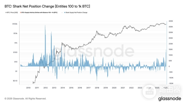 当比特币市场回落时,谁在悄悄加仓?链上数据里的真实分歧