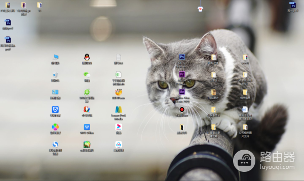 小米照片回收站清空了找回方式是什么