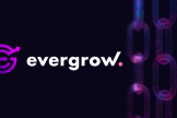 曾靠“持币躺赚”爆火的EverGrow，如今为何全面转向Solana？