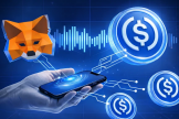 为什么MetaMask看不到USDC？正确添加USDC合约地址详解（2026可用）