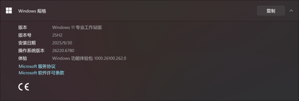 Win11 25H2重启黑屏显示左上角白块怎么办？USB启动故障修复教程