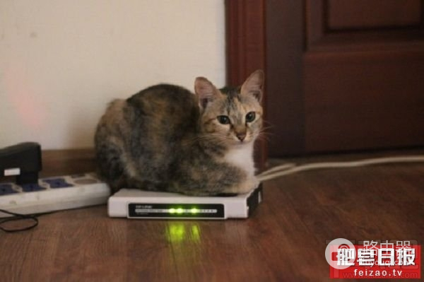 路由器里有个隐藏的设定(如何检查路由器设置了隐藏)