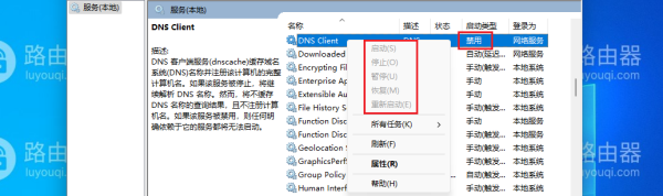 DNS Client服务启动类型为禁用而且所有按钮为灰色解决方法