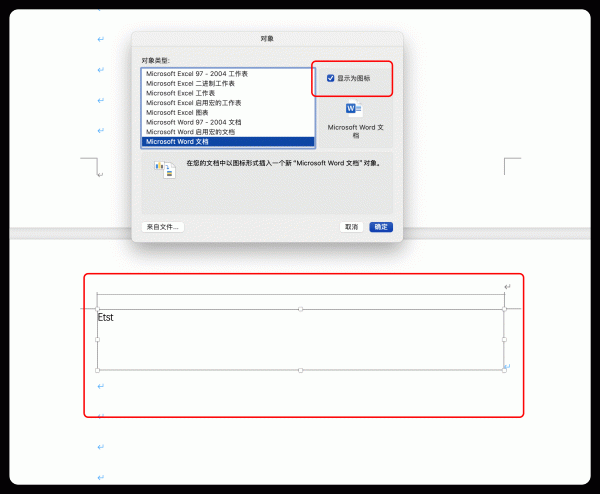 mac word插入对象不显示图标？16.90版本解决方法