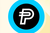 了解PayPal USD (PYUSD币)？PayPal推出的PYUSD如何运作？
