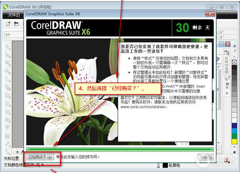 coreldraw2024精简版绿色版