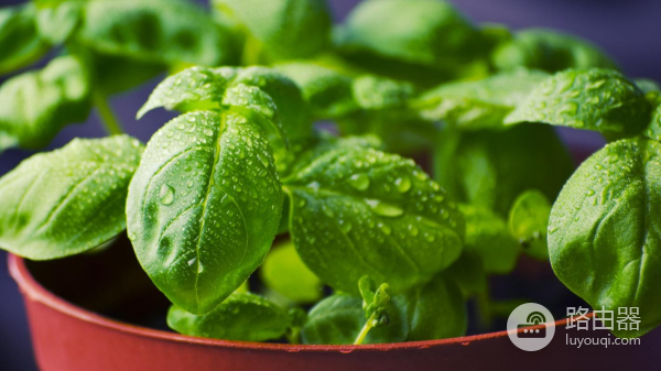 win7怎么恢复u盘数据