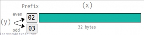 钱包地址怎么生成?UTXO模型和找零地址