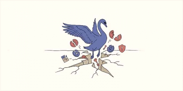 币圈黑天鹅事件是什么意思？怎么应对？