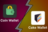 Cake Wallet（蛋糕钱包）是什么？适合中国用户吗？