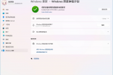 win11预览版27913出现bug怎么办？系统故障反馈与修复教程