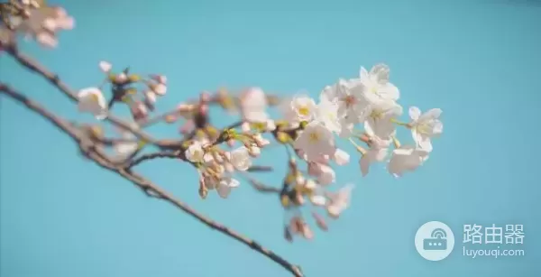 把一台电脑戴在手腕上是什么感觉(戴在手腕上的电脑)