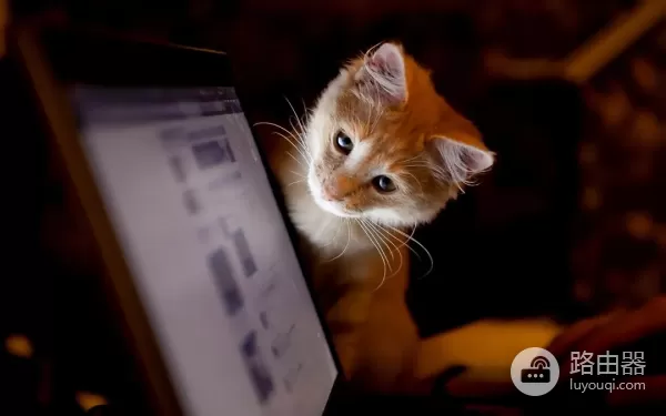 家里有人沉迷电脑(沉迷于电脑)