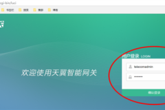 天翼网关怎么限速别人的网络（天翼网关限速别人的网络方法）