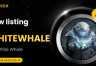 White Whale是什么币? 为何会在短期内暴涨500倍?