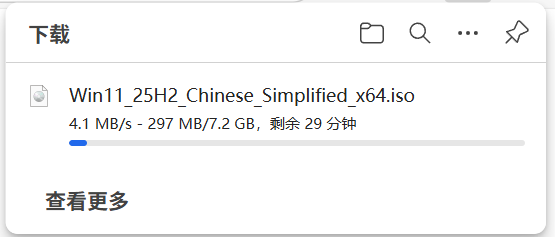 Windows 11下载镜像版本困惑：如何获取“专业多语言版”？