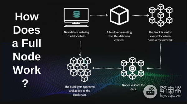 全节点是什么？全节点和轻节点区别在哪儿？谁该跑全节点？