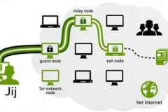 洋葱网络网桥用哪个（洋葱网络网桥用什么）